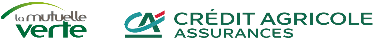 Logo-lmvgestion